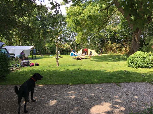 Camping Oldelamer