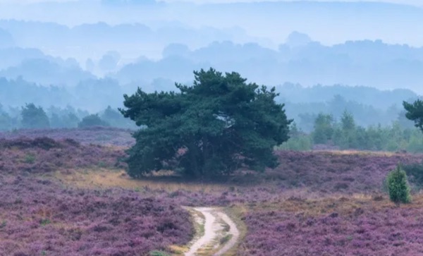 Camping Bruchterveld