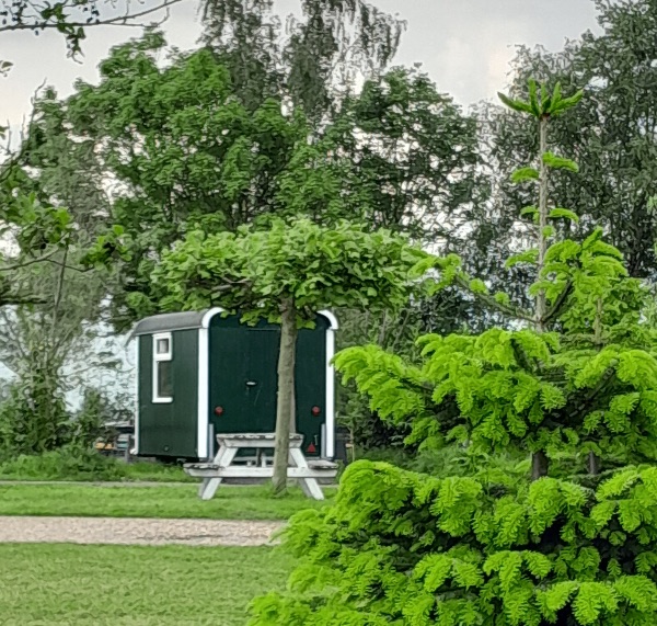 Camping Scherpenzeel