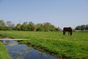 Camping Bolsward