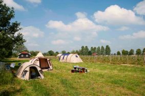 Camping Terwolde